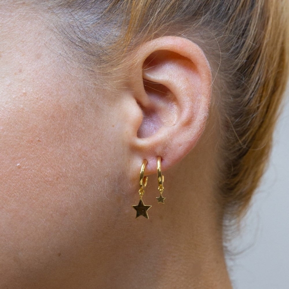 Earrings in silver 925 yellow gold plated - Simply Me