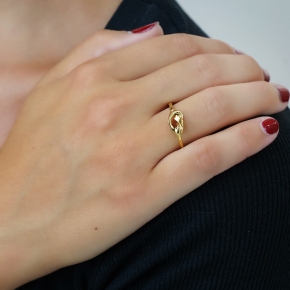 RING - Funky Metal