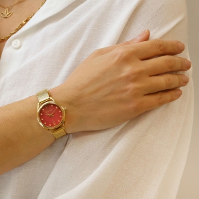 ΡΟΛΟΪ - Time for Gregio